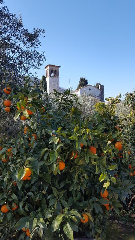 Villa Casolare Al Dopolavoro à Lucques Extérieur photo