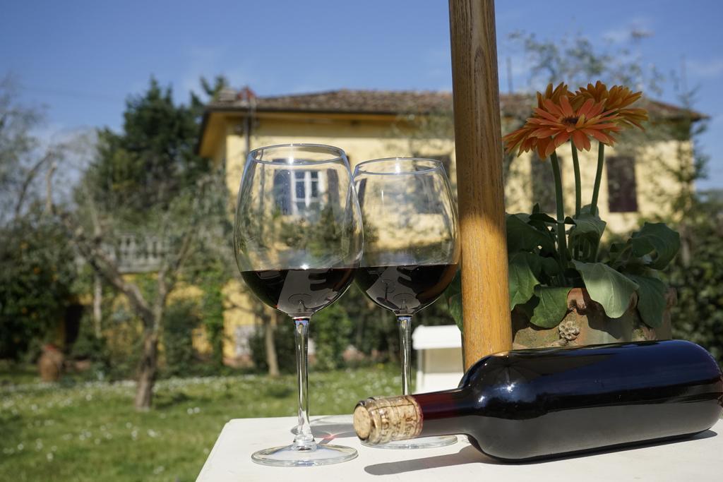Villa Casolare Al Dopolavoro à Lucques Extérieur photo