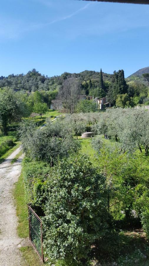 Villa Casolare Al Dopolavoro à Lucques Extérieur photo