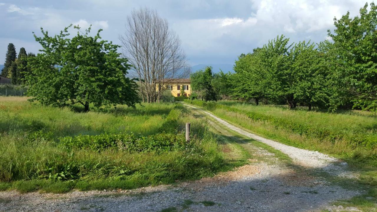Villa Casolare Al Dopolavoro à Lucques Extérieur photo